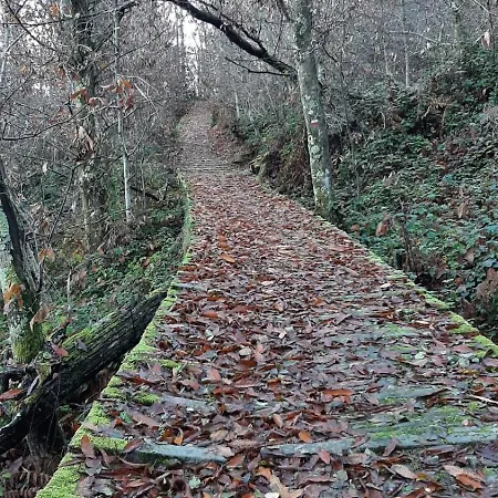 La Porta Dipinta Cinque Terre La Spezia