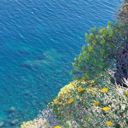 La Porta Dipinta Cinque Terre La Spezia شقة